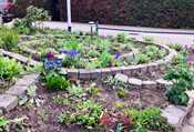 Bekijk deze foto groter. Foto: 'Buurttuin Boshoven'.